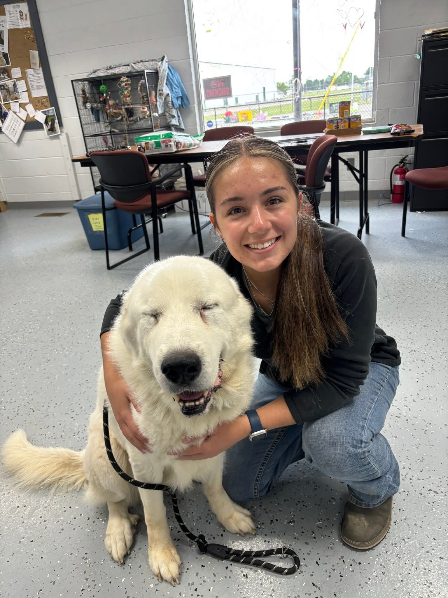 Extra image from article