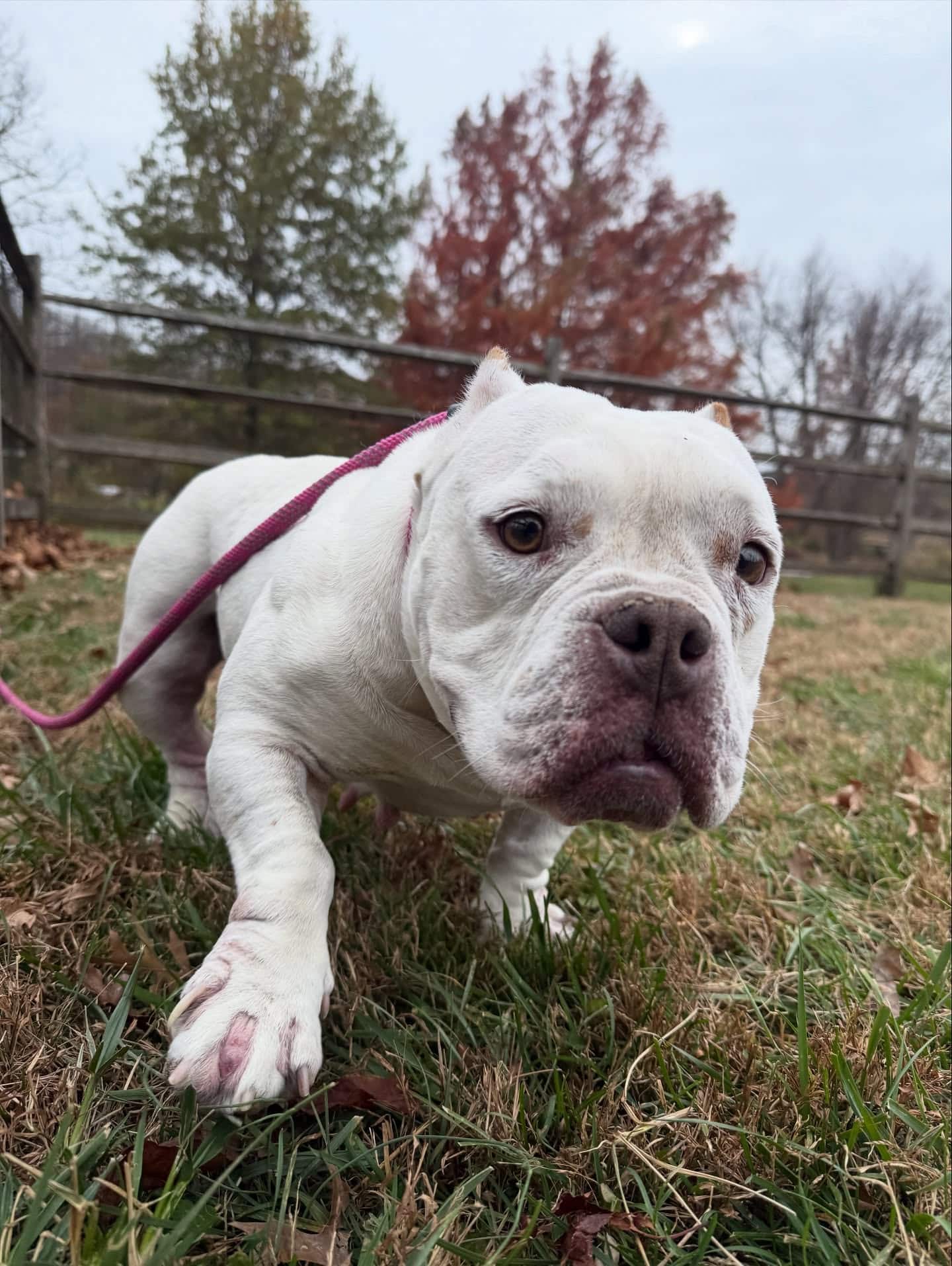 Extra image from article