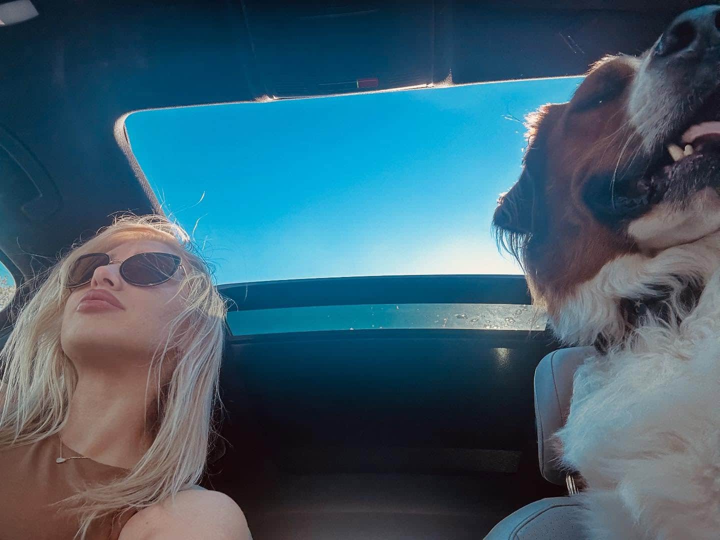 Extra image from article