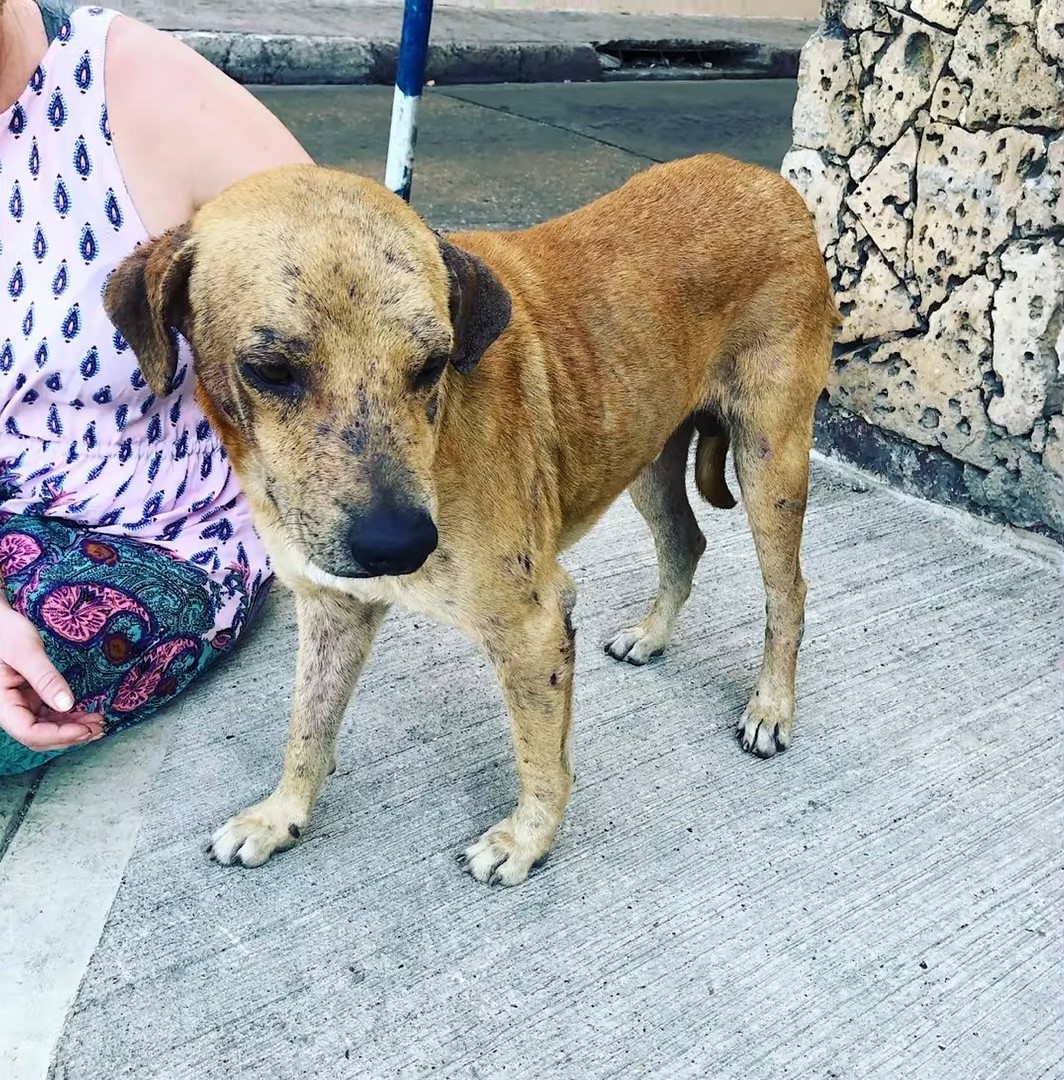 As Diego regained his health, his true p...