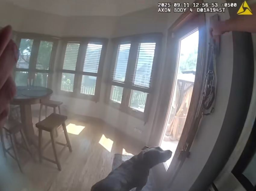 Another viewer expressed delight by stat...