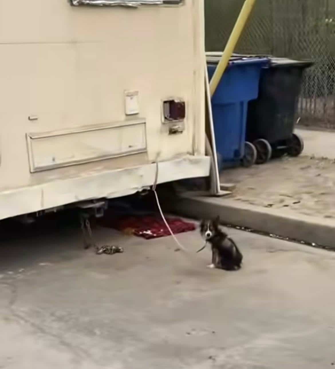 Undeterred, they thoroughly checked the ...