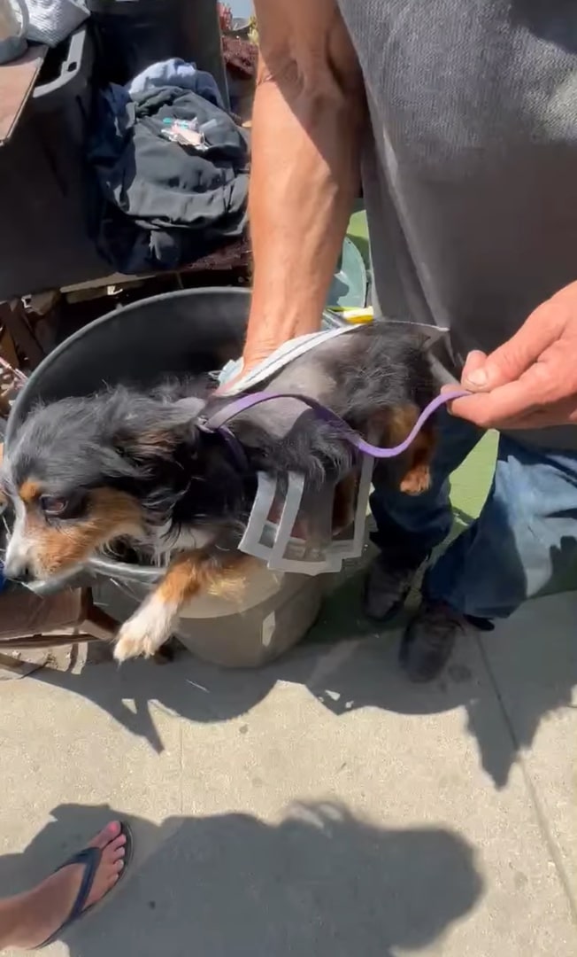 Extra image from article