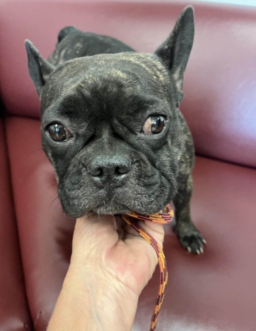 Extra image from article