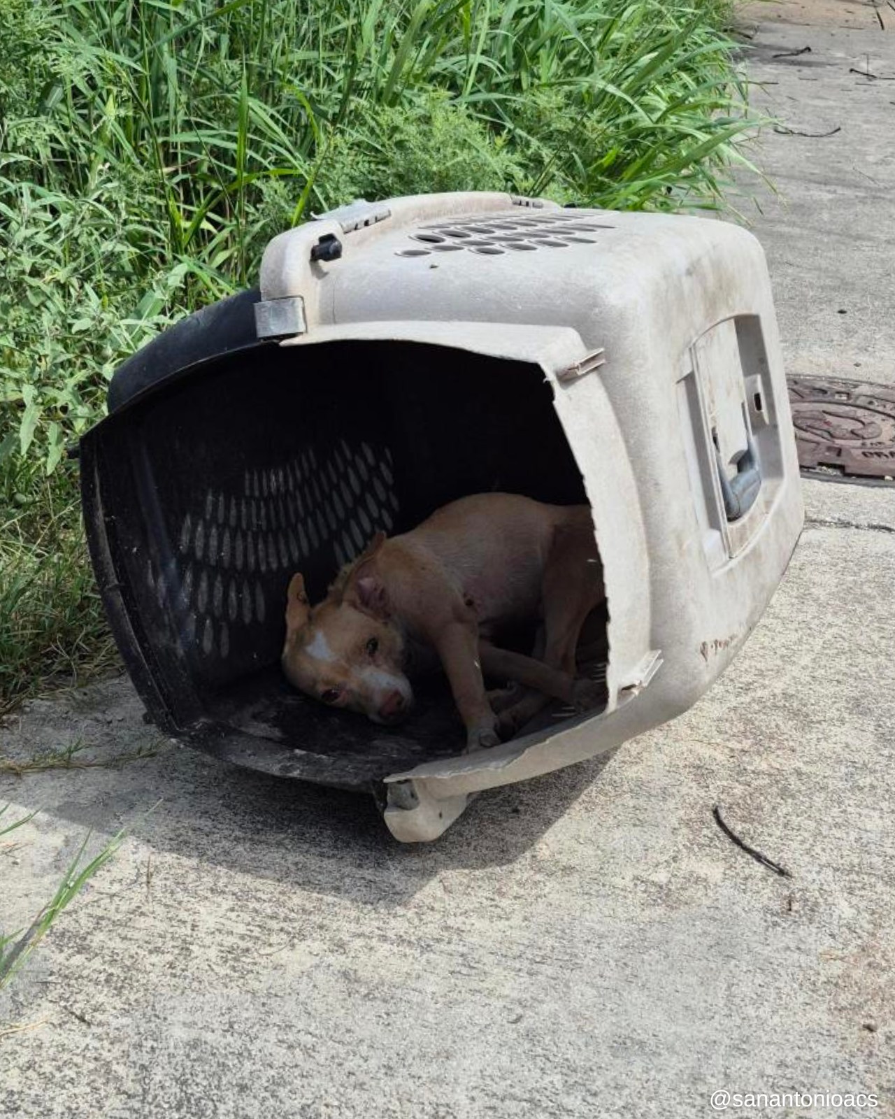 To mark this new beginning, Leo was give...