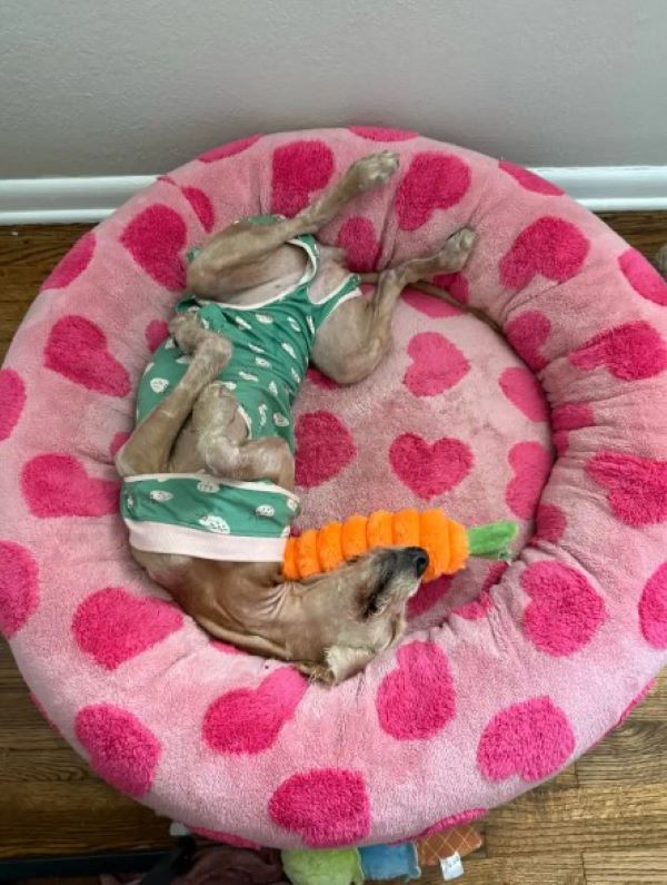 Extra image from article