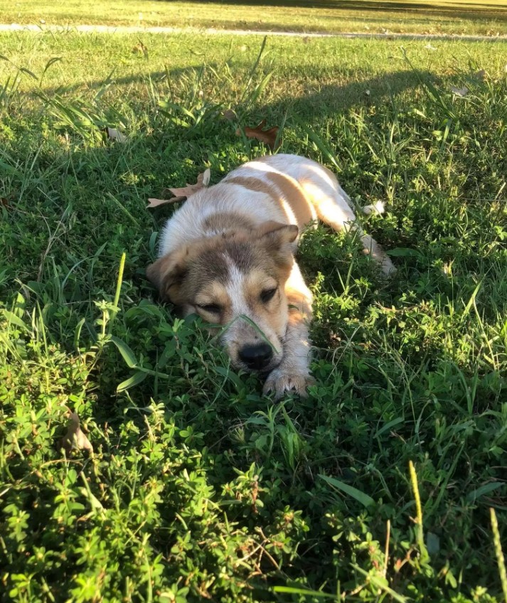 The unexpected DNA results were surprisi...