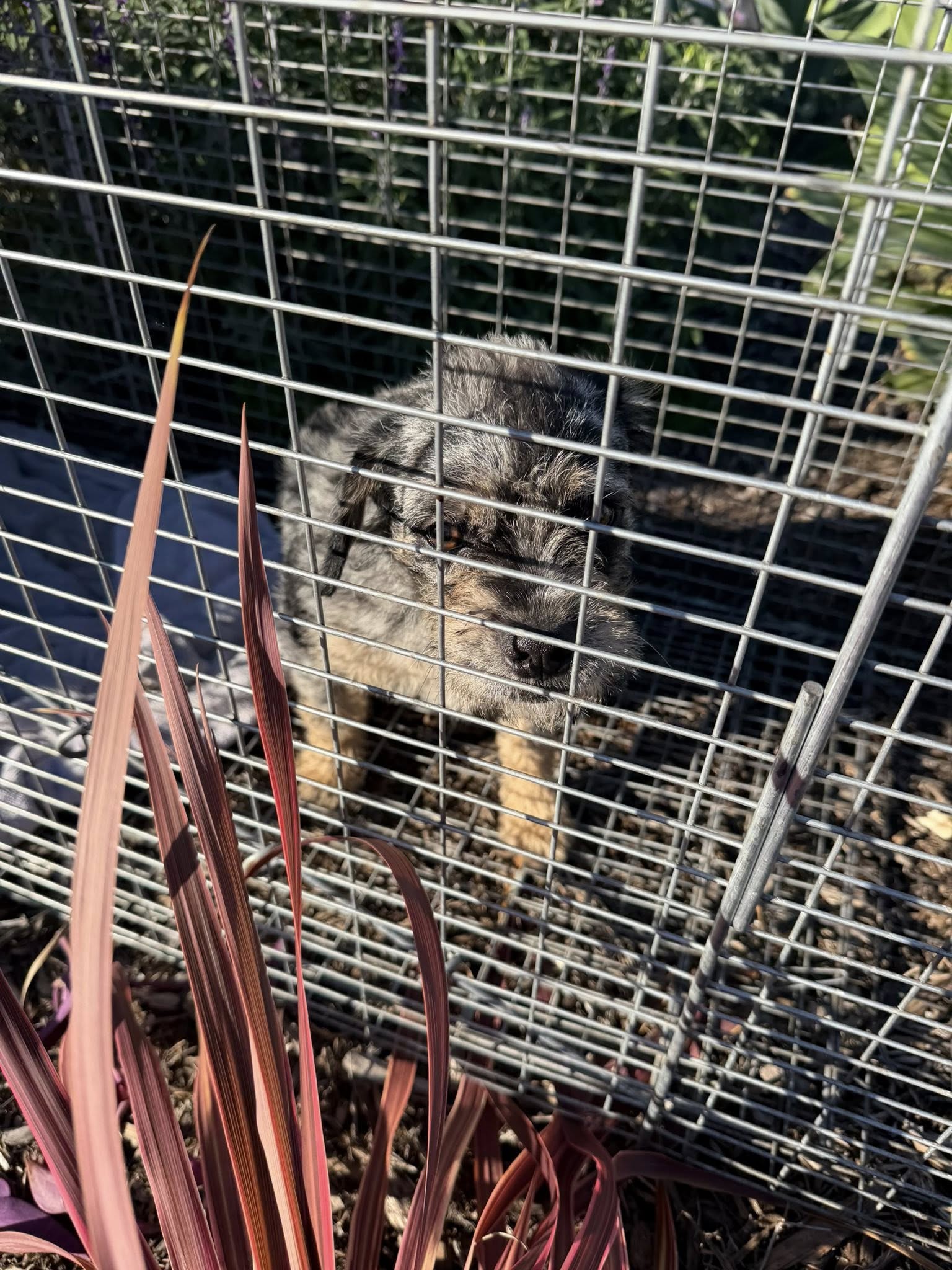 Extra image from article