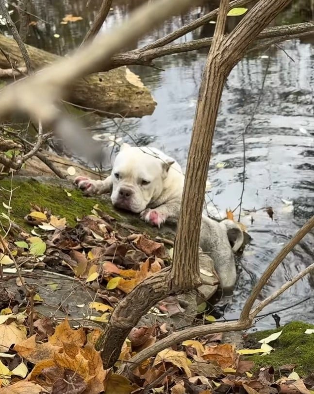 “There was a moment when she realized sh...