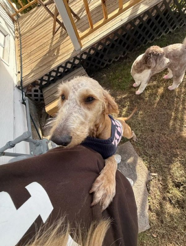 Extra image from article