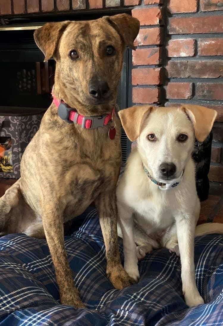 Extra image from article