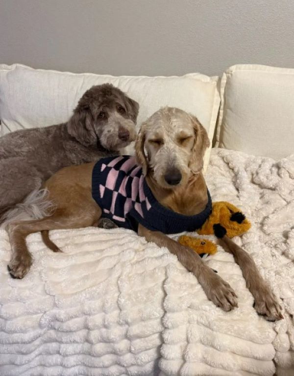 Extra image from article