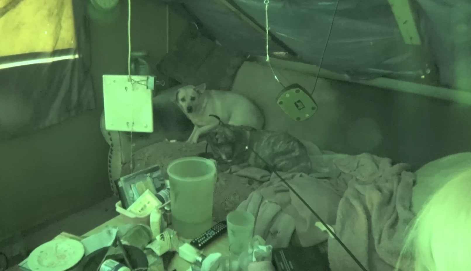 This was an emotional moment for Doreen,...