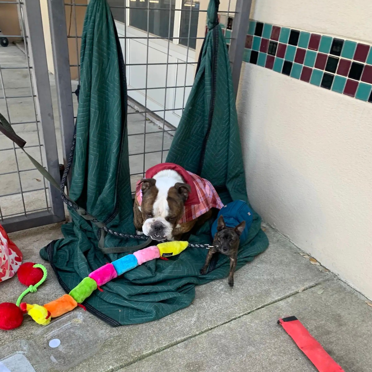 The moment they saw each other, any worr...