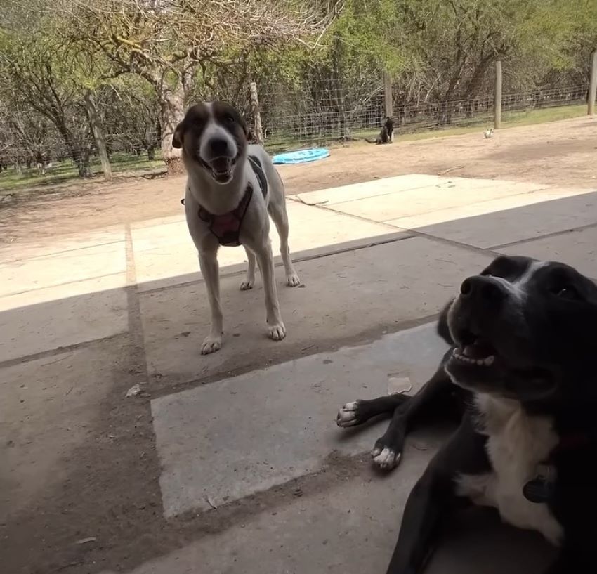 Extra image from article