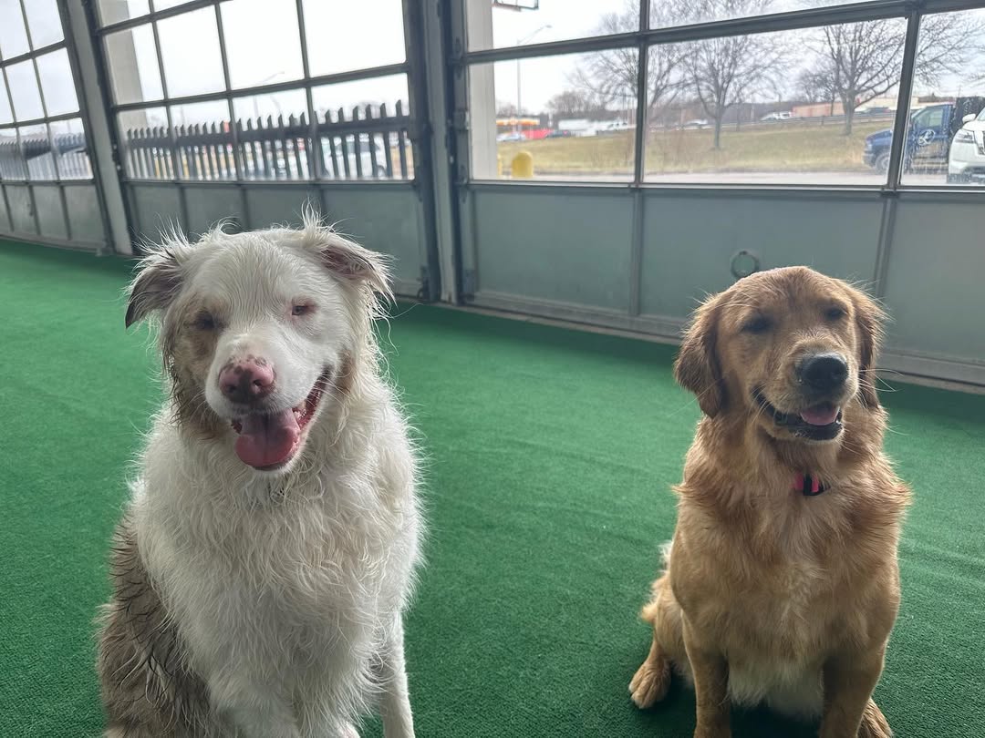 Follow Tamale's delightful journey and s...