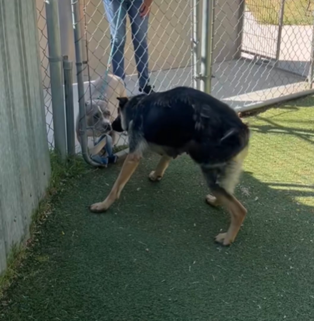 After much waiting and fear, Sandy now h...