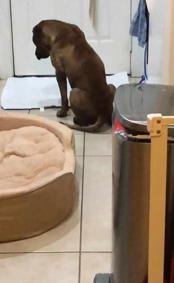 Extra image from article