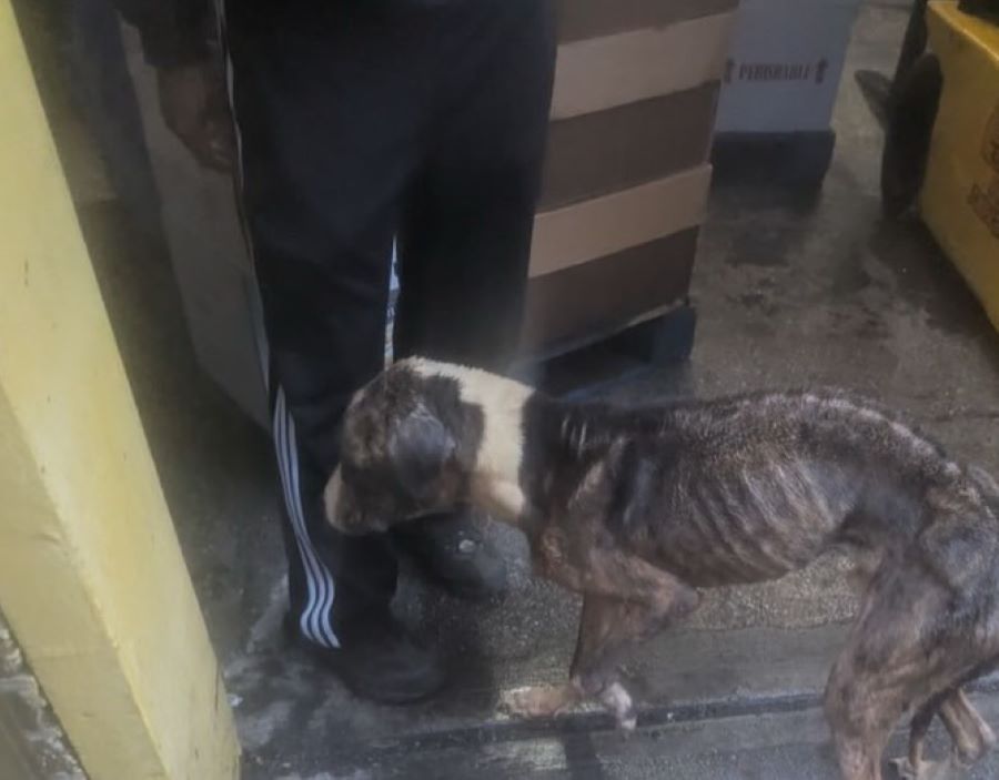 The news was discouraging, but Megan was...