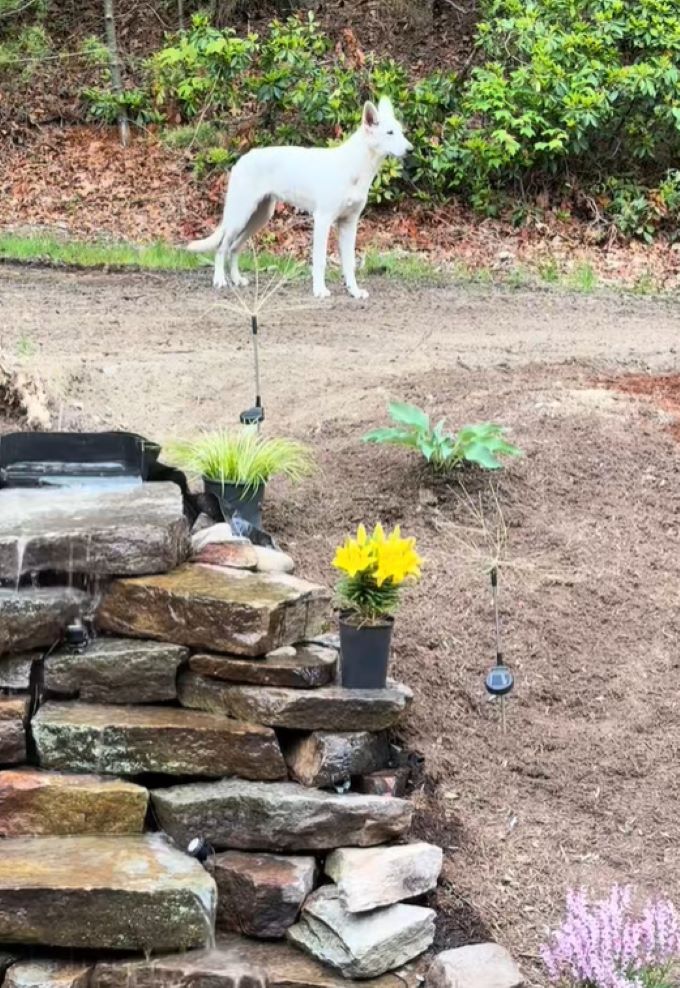 Extra image from article