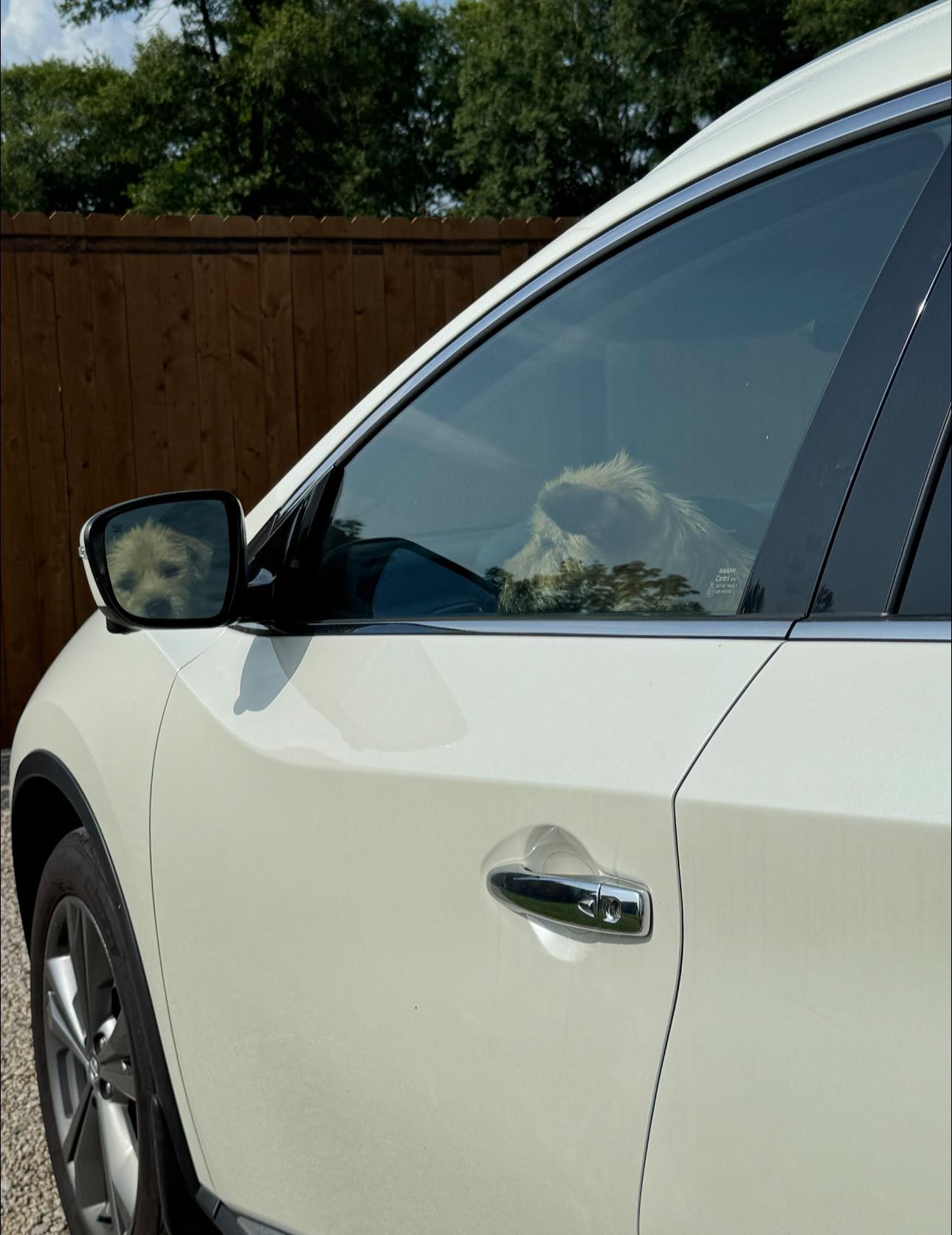 Extra image from article