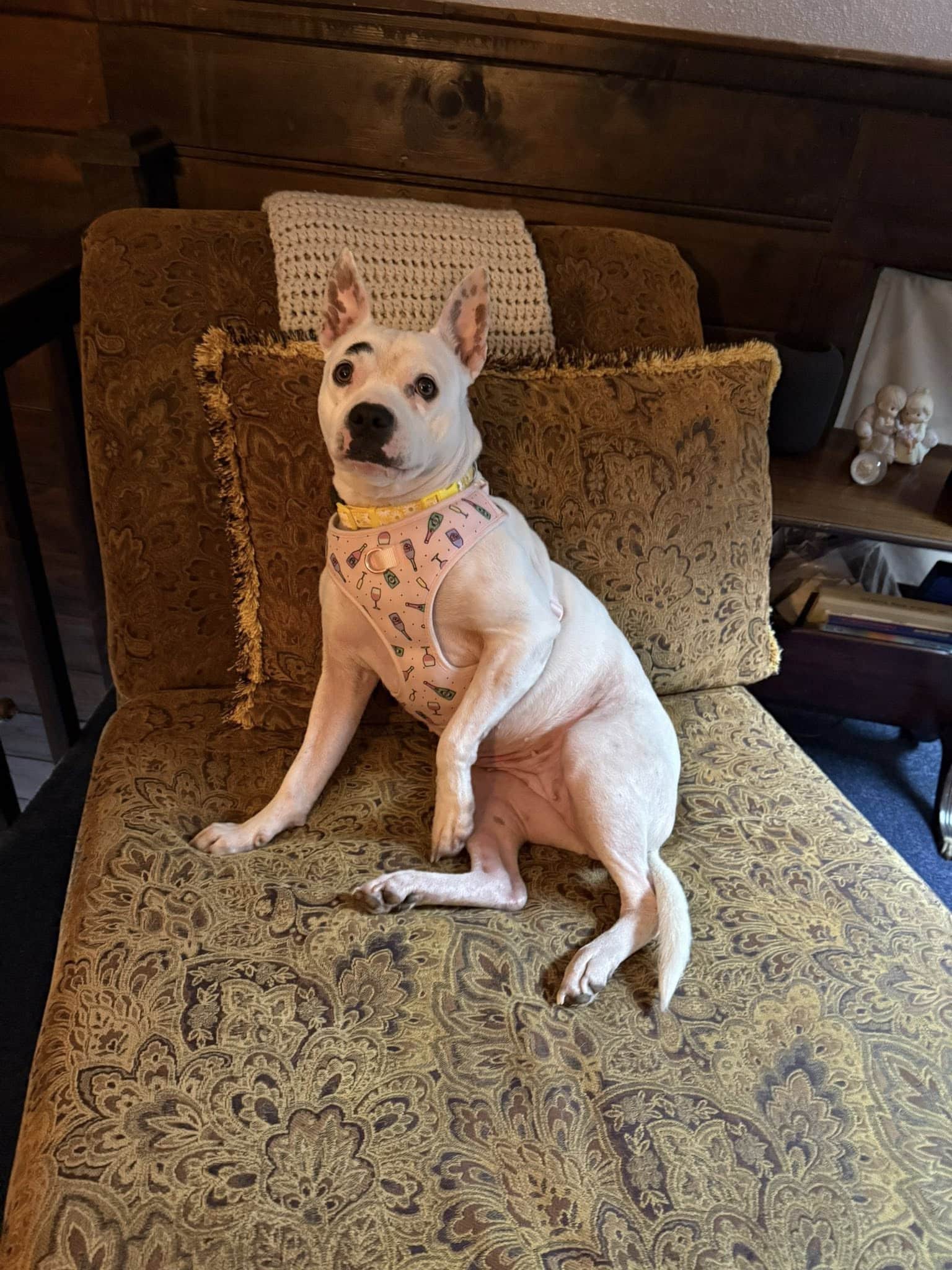 Extra image from article