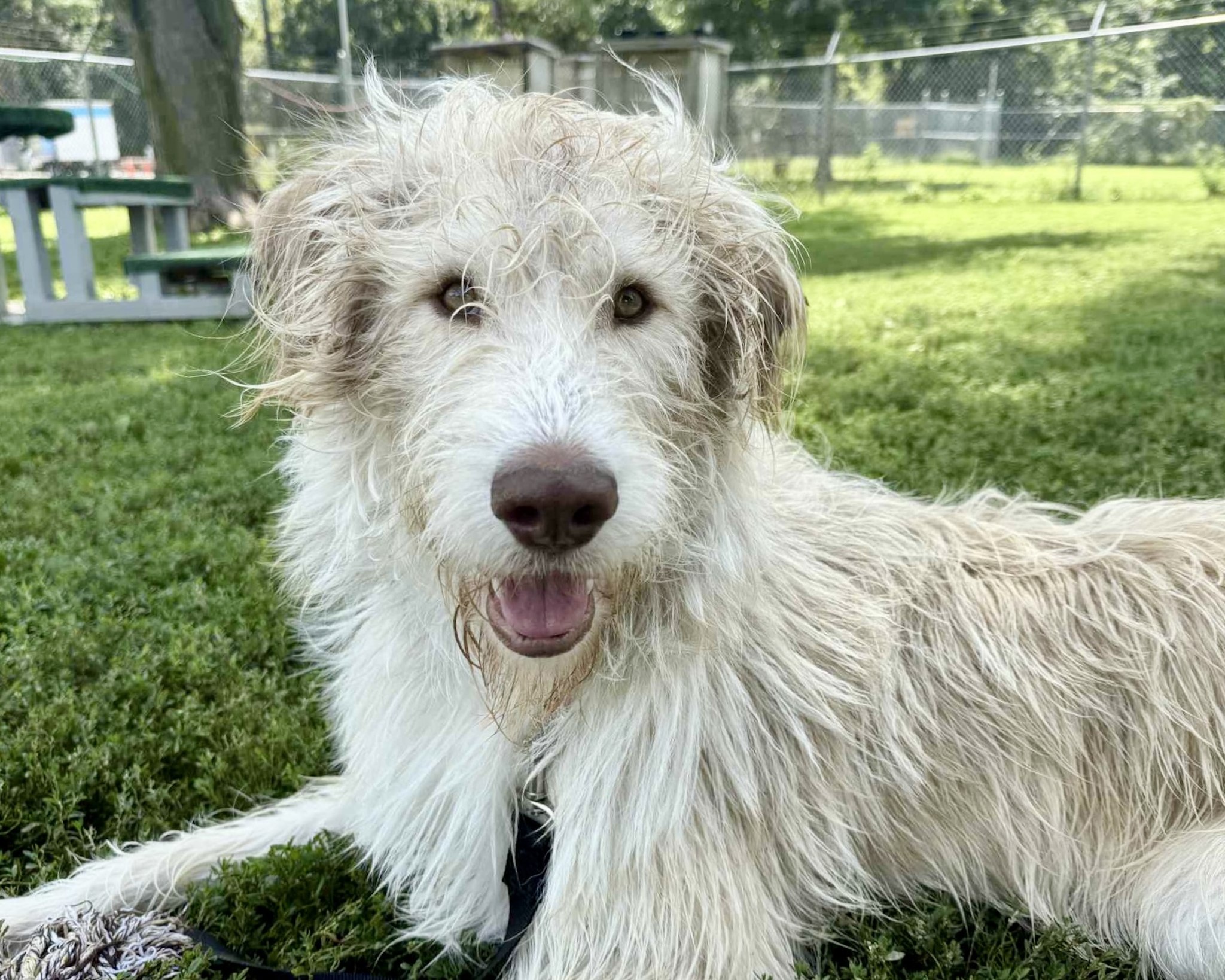 Extra image from article