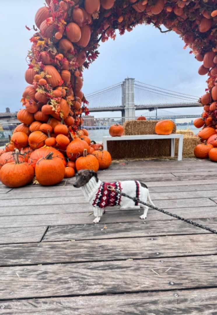 Extra image from article