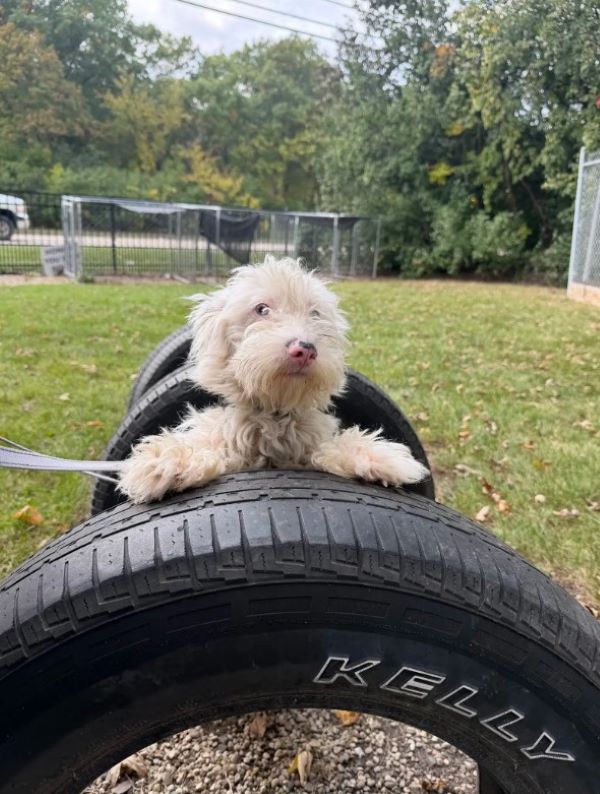 Extra image from article