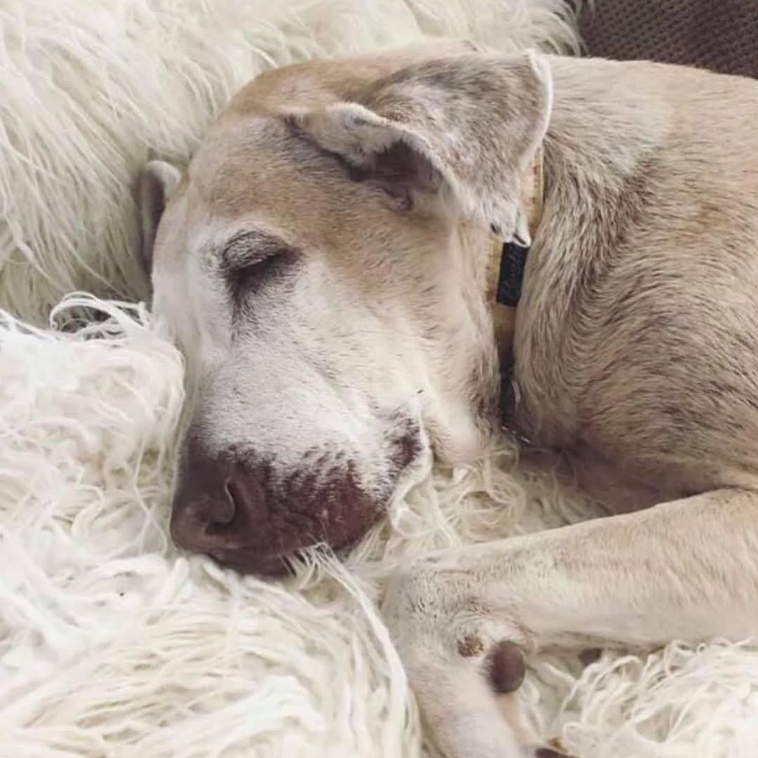 Extra image from article