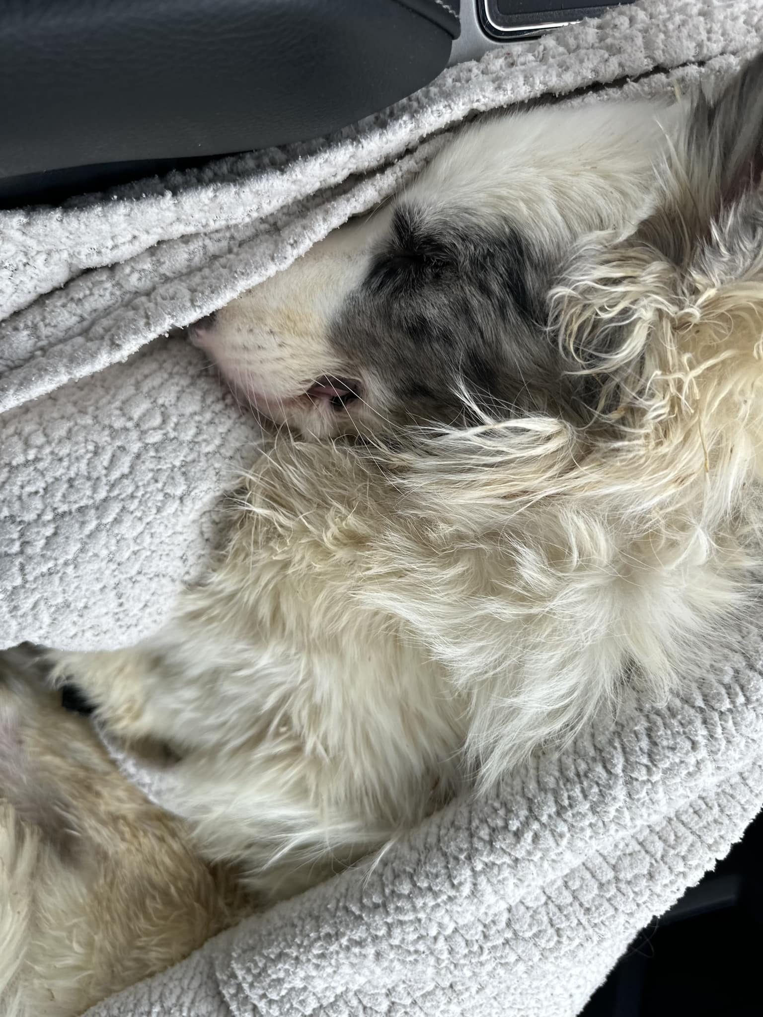 Initially, Karen didn’t intend to keep a...