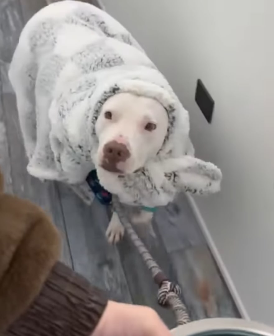 A family, touched by Rudy’s viral Instag...