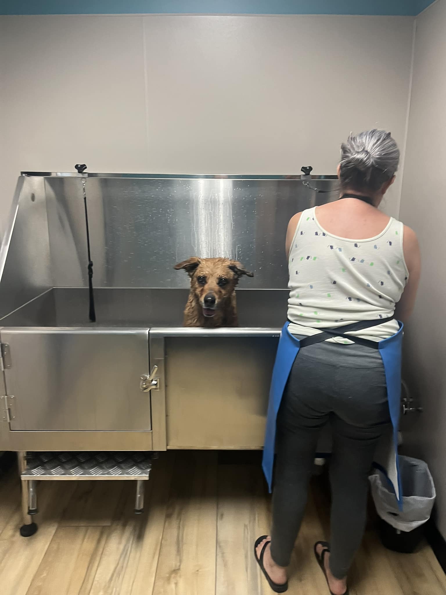 Extra image from article