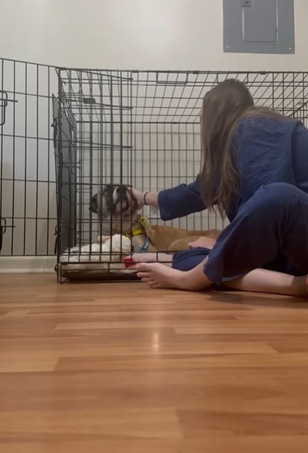 Reunited, Dominoa's spirits lifted, and ...