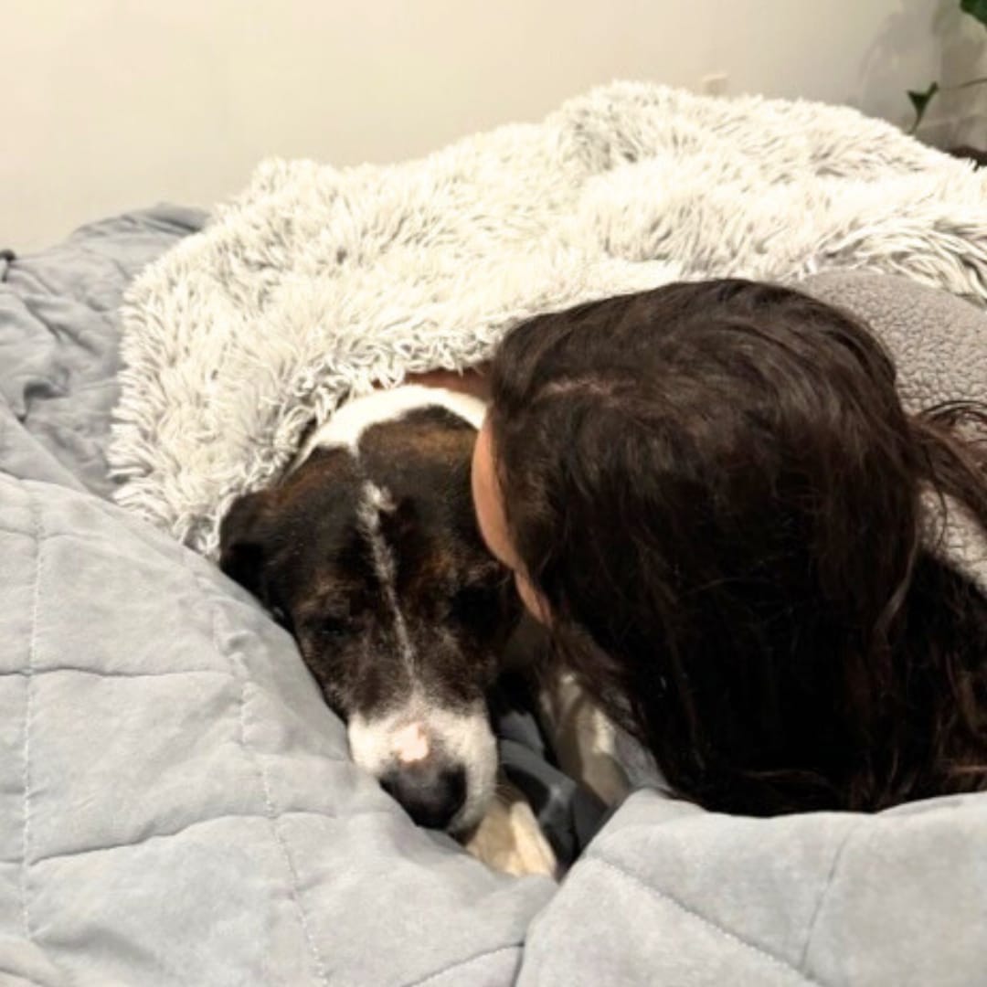 Extra image from article