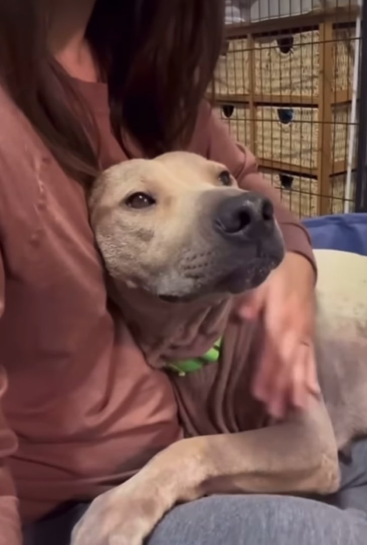 Extra image from article