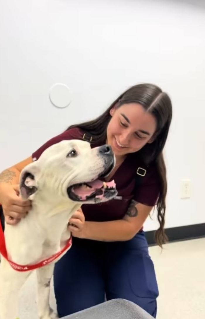 Rocky’s journey from uncertainty to a lo...