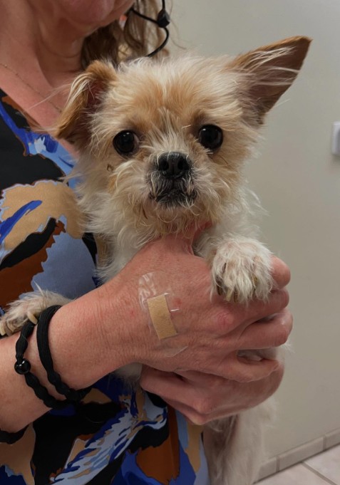 After such a rough start, Eve and Forres...