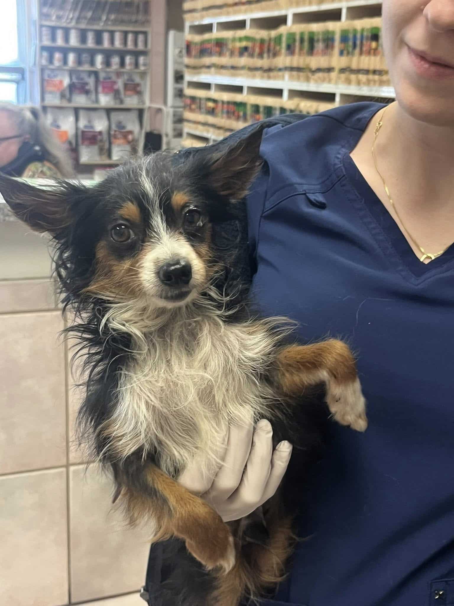 Extra image from article