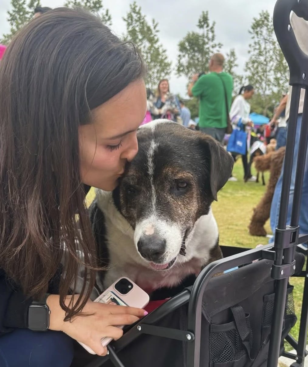 Extra image from article