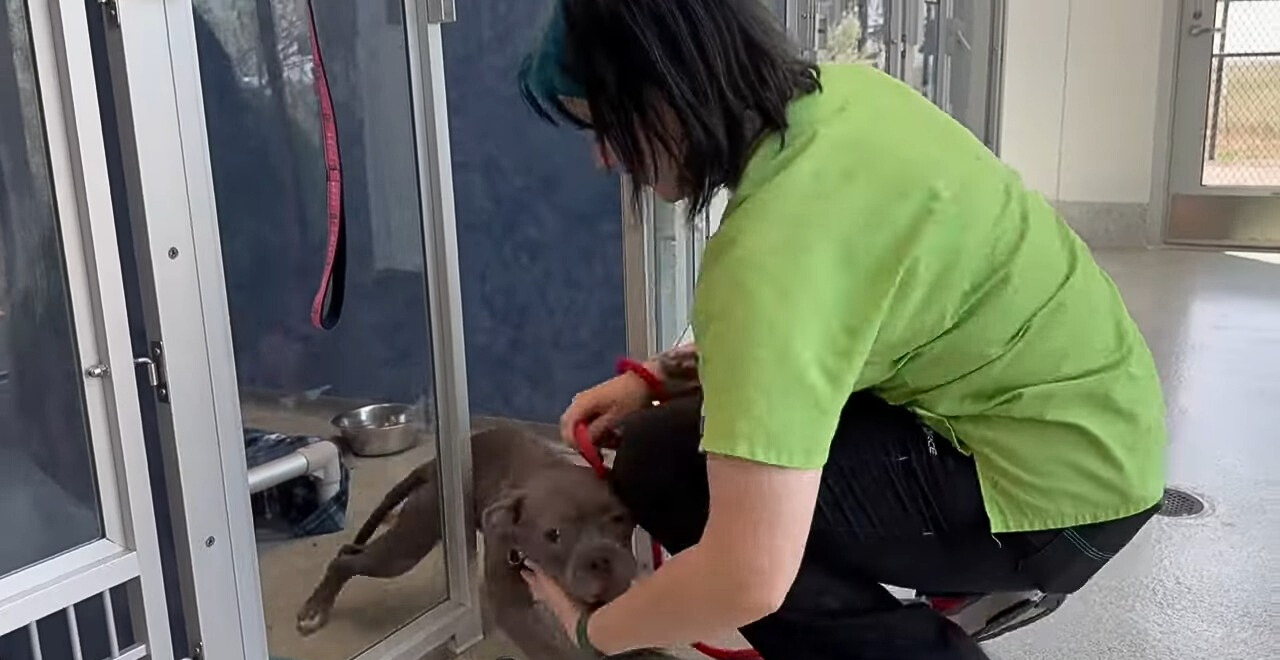 Extra image from article