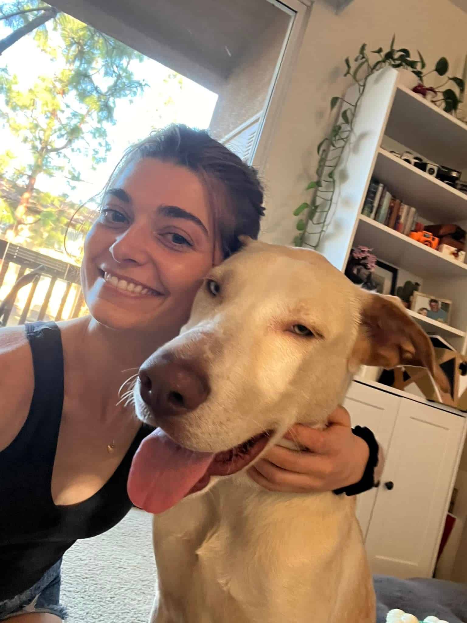 Extra image from article