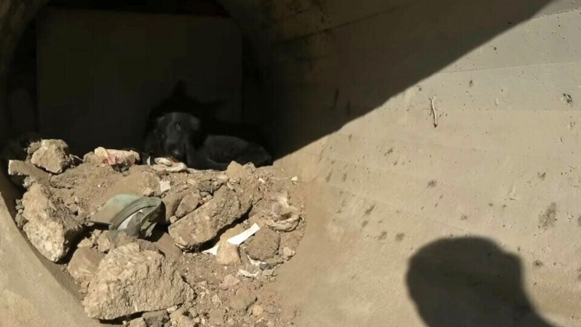 This was precisely the case for a German...