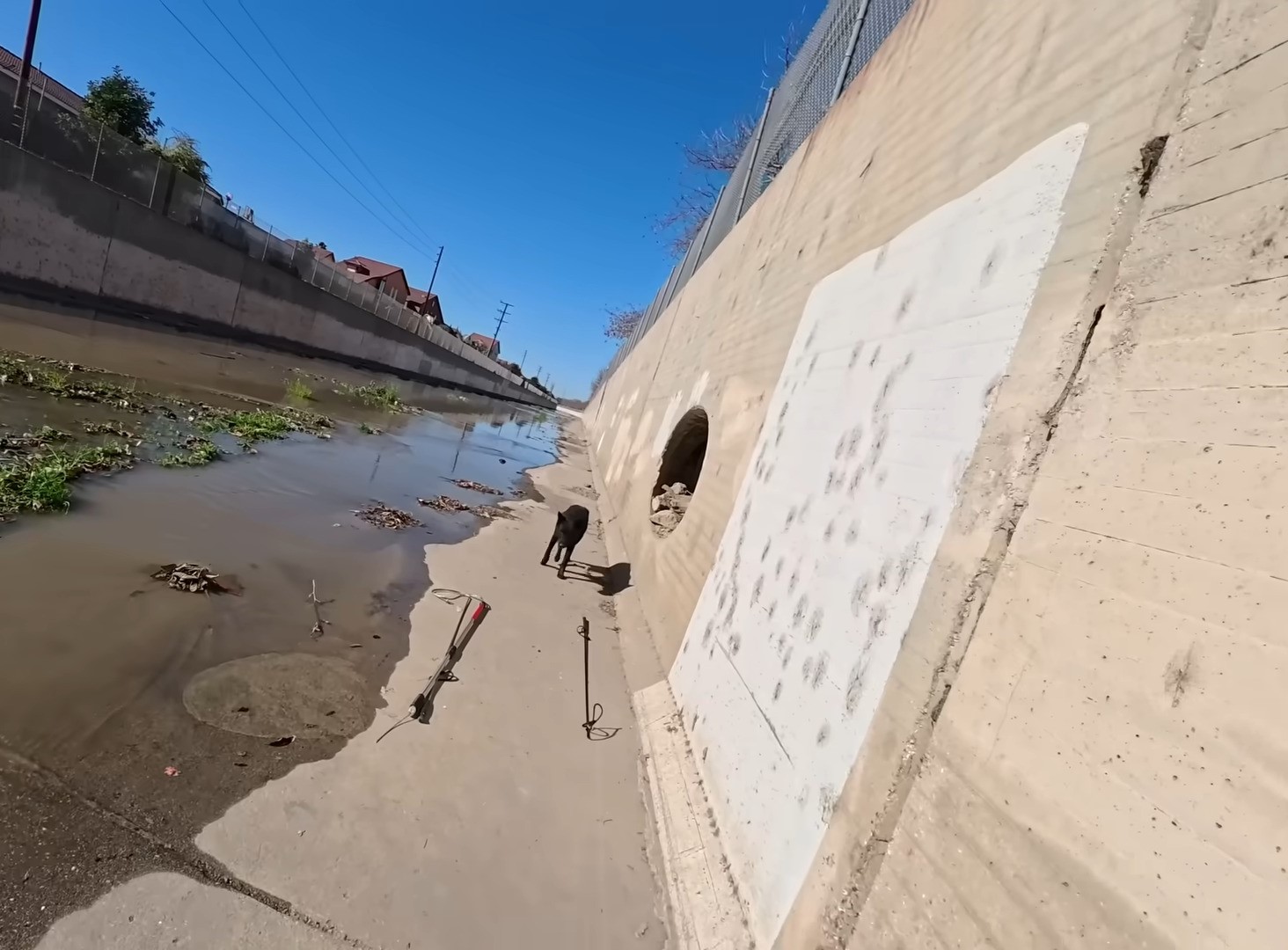 Extra image from article