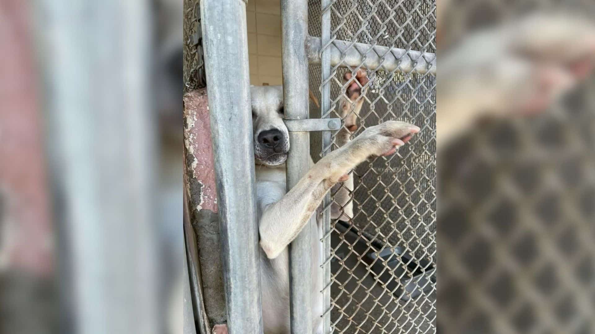 Even as time went by and his spirits som...