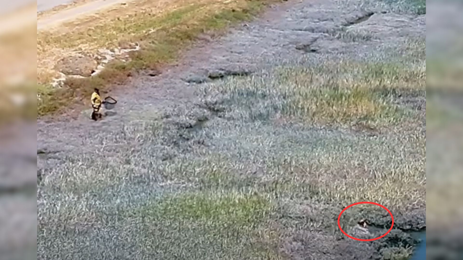 Recently, a dramatic rescue unfolded whe...