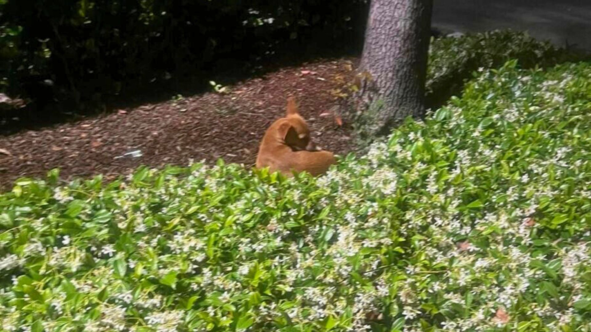 Arriving at the park, Hall found a strik...