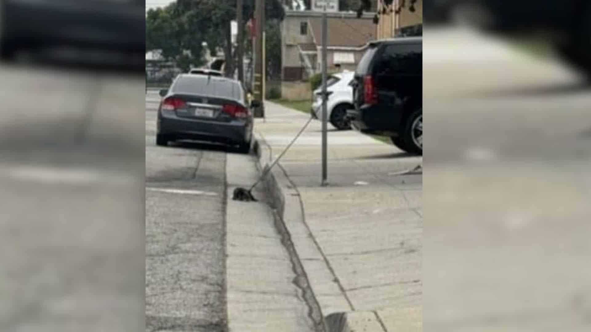 Although their wounds may heal, even the...