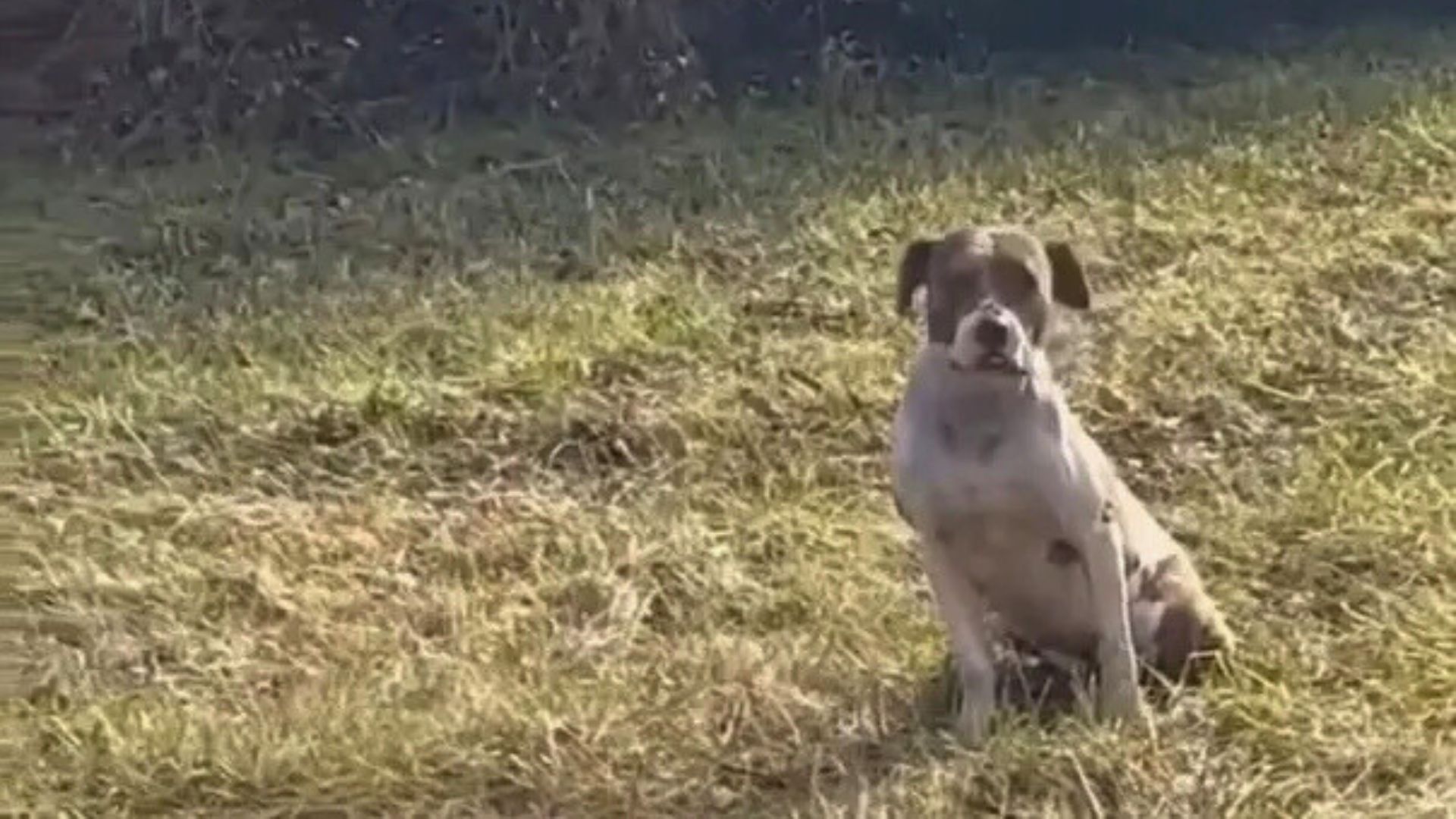 Jill Henke, who works as the operations ...