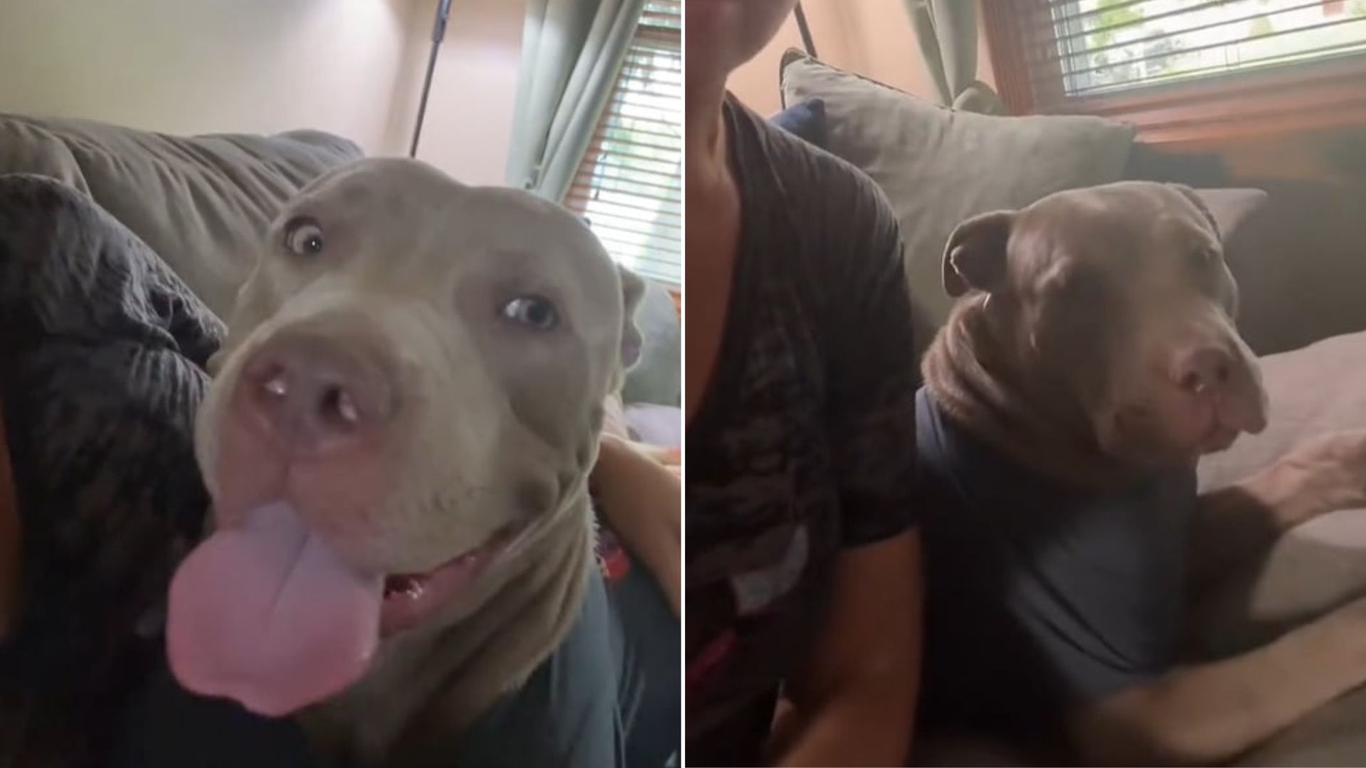 Concerned about the situation, Heather a...